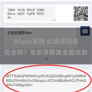 Bitpie支持 比特派钱包安全吗？专家详解其全面优势