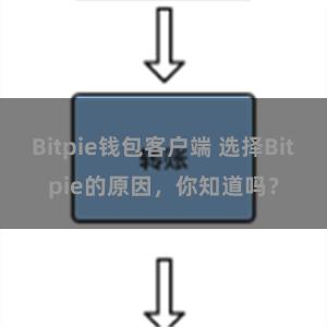 Bitpie钱包客户端 选择Bitpie的原因，你知道吗？