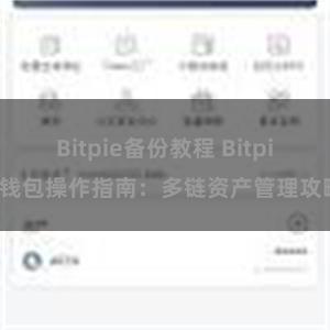 Bitpie备份教程 Bitpie钱包操作指南：多链资产管理攻略