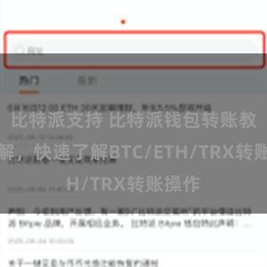 比特派支持 比特派钱包转账教程详解，快速了解BTC/ETH/TRX转账操作
