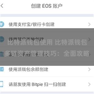 比特派钱包使用 比特派钱包多链资产管理技巧：全面攻略