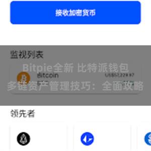 Bitpie全新 比特派钱包多链资产管理技巧：全面攻略