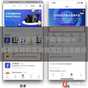 比特派钱包下载 Bitpie钱包支持的区块链网络全面解析