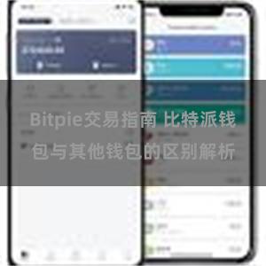 Bitpie交易指南 比特派钱包与其他钱包的区别解析