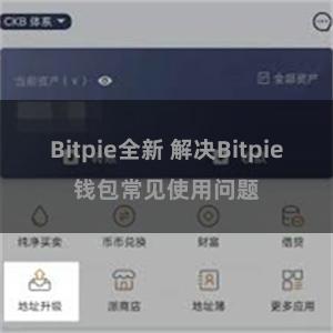 Bitpie全新 解决Bitpie钱包常见使用问题