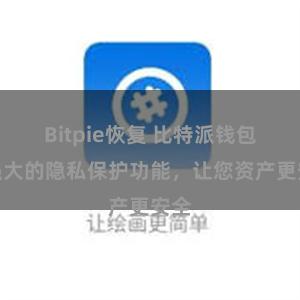 Bitpie恢复 比特派钱包：强大的隐私保护功能，让您资产更安全