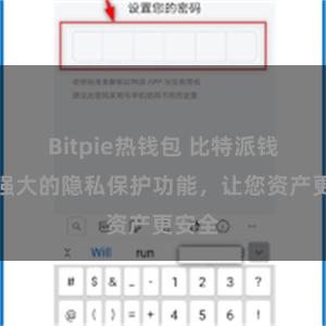 Bitpie热钱包 比特派钱包：强大的隐私保护功能，让您资产更安全