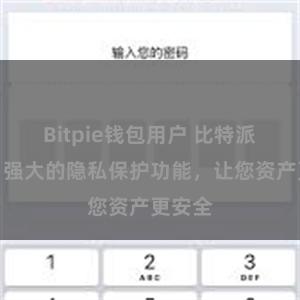 Bitpie钱包用户 比特派钱包：强大的隐私保护功能，让您资产更安全