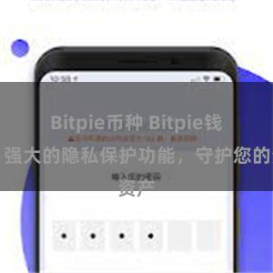 Bitpie币种 Bitpie钱包：强大的隐私保护功能，守护您的资产