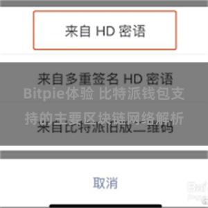 Bitpie体验 比特派钱包支持的主要区块链网络解析