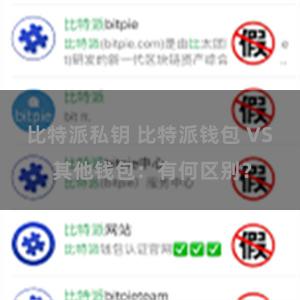 比特派私钥 比特派钱包 VS 其他钱包：有何区别？