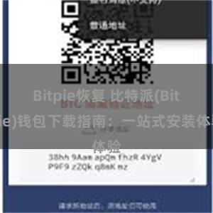 Bitpie恢复 比特派(Bitpie)钱包下载指南：一站式安装体验