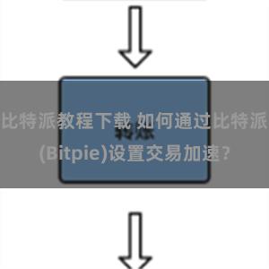 比特派教程下载 如何通过比特派(Bitpie)设置交易加速？