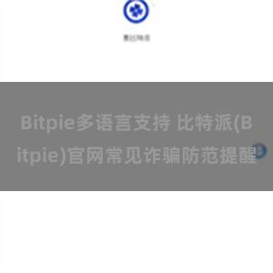 Bitpie多语言支持 比特派(Bitpie)官网常见诈骗防范提醒