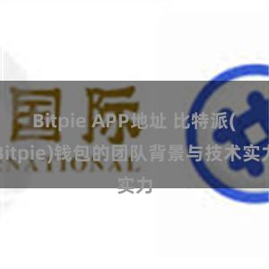 Bitpie APP地址 比特派(Bitpie)钱包的团队背景与技术实力