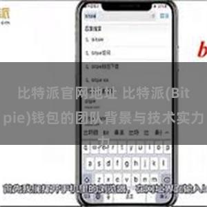 比特派官网地址 比特派(Bitpie)钱包的团队背景与技术实力