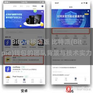 Bitpie移动版 比特派(Bitpie)钱包的团队背景与技术实力