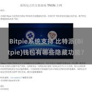 Bitpie系统支持 比特派(Bitpie)钱包有哪些隐藏功能？