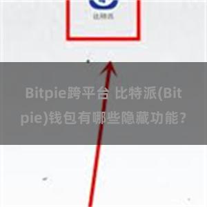 Bitpie跨平台 比特派(Bitpie)钱包有哪些隐藏功能？