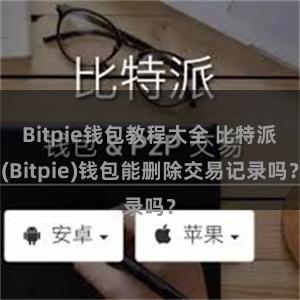 Bitpie钱包教程大全 比特派(Bitpie)钱包能删除交易记录吗？