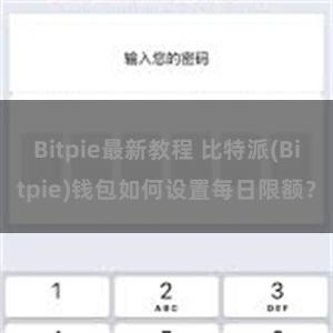 Bitpie最新教程 比特派(Bitpie)钱包如何设置每日限额？