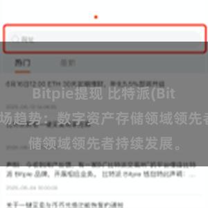 Bitpie提现 比特派(Bitpie)钱包市场趋势：数字资产存储领域领先者持续发展。