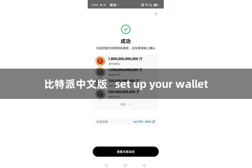 比特派中文版   set up your wallet